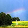 Tęcza nad Łotwą #Tęcza #Łotwa #niebo #widok #rzepak #pole