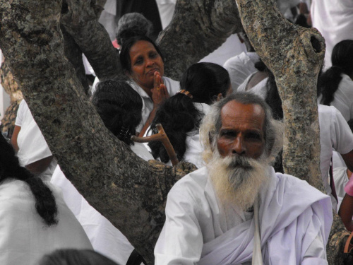 Sri Lanka 2008 pielgrzym z Kulatary