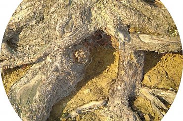 dziwne zdjęcia, kadry #StrangeWorld #kadr #dziwne #zdjęcia #xnifar #rafinski