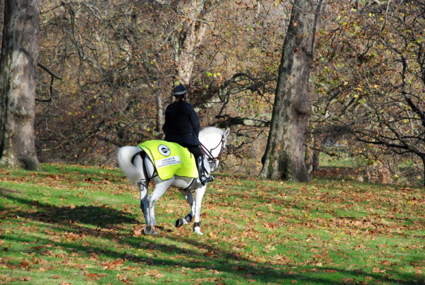 #PolicjaKonnaGreenPark