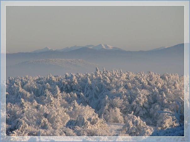 trochę zimowego akcentu ( niestety brak błękitnego nieba)- grudzień 2007- Bieszczady