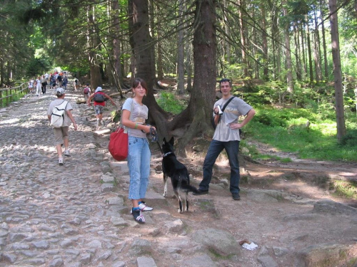 góry 2007
wspinamy się tą drogą do wodospadu Kamieńczyka :) #pies #psy #zwierzęta #góry #wycieczki