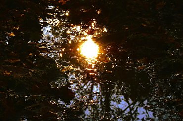 #słońce #przyroda #odbicie