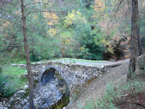 Cypr,Elia Bridge #most #średniowieczny #wenecki #kamienny #jesień #drzewa #kolory