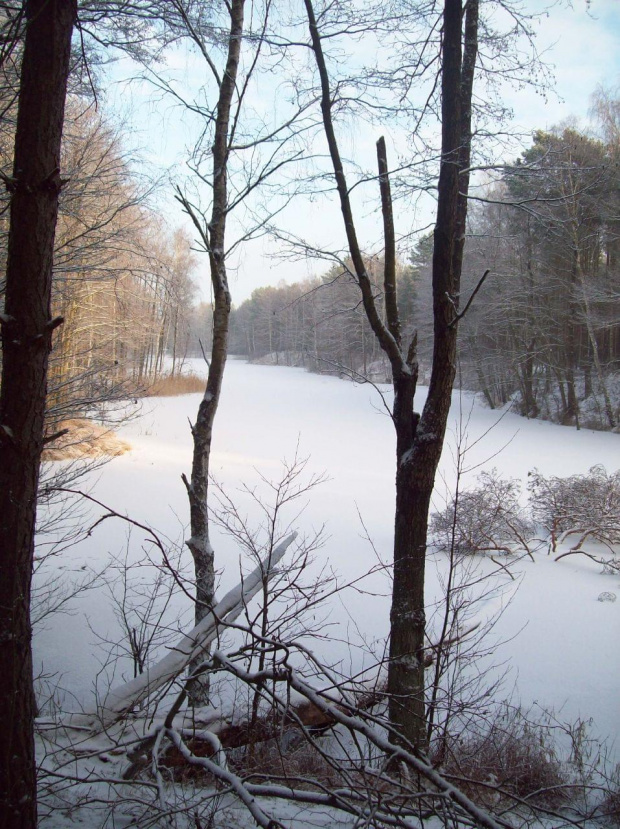 widok na zamarznięty staw