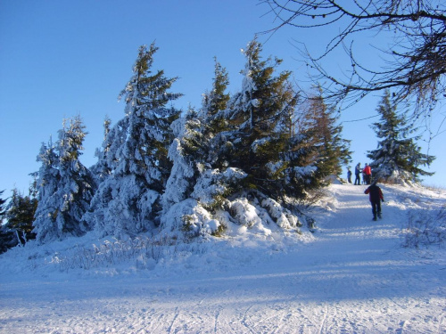 Jaworzyna zimą 2009