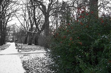 #Warszawa #park #zima