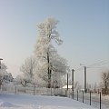 Foto: Sylwester Nicewicz - Kozioł i rzeka Pisa w zimowej szacie #Kozioł #rzeka #Pisa #kościół #zima #foto #Sylwester #Nicewicz