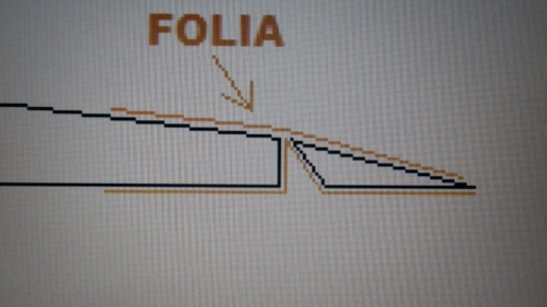 FOLIA