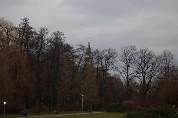 Biblioteka miejska Świdnica