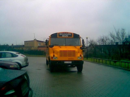 schol bus
