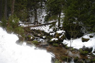 ;) #ferie #zakopane #warszawa #harenda #sheesha #narty #stok #góry #DolinaKościeliska