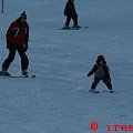 Białka 2009