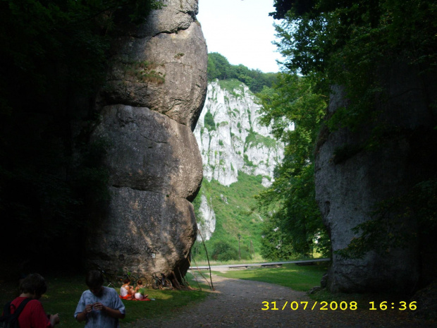 Ojcowsk Park Narodowy "BRAMA KRAKOWSKA"