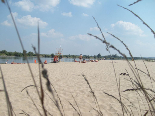 plaża nad Wisłą