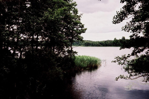 Jezioro Litygajno w Puszczy Boreckiej.
