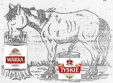 #koń #warka #tyskie #piwo #siki #piwiarnia #kon