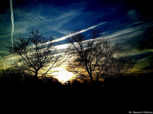 #chmury #drzewa #słońce #ZachódSłońca