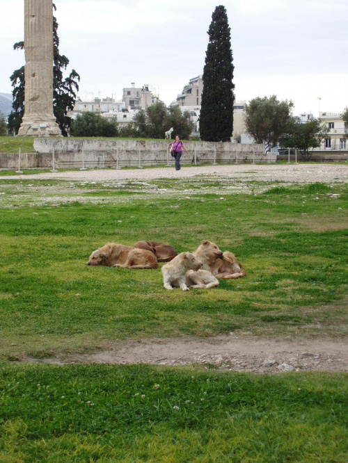fotki z Aten