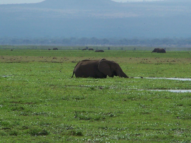 kenia #Kenia