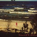 Krynica Morska 2002r. #Bałtyk #KrynicaMorska #Morze #Plaża #Polska #Urlop #Wczasy #Wypoczynek #Zima