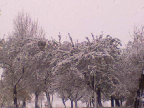 #zima #maruszyna #podhale #snieg