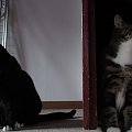 MAX I NATASZA - CHYBA SIE NA SIEBIE OBRAZILI
