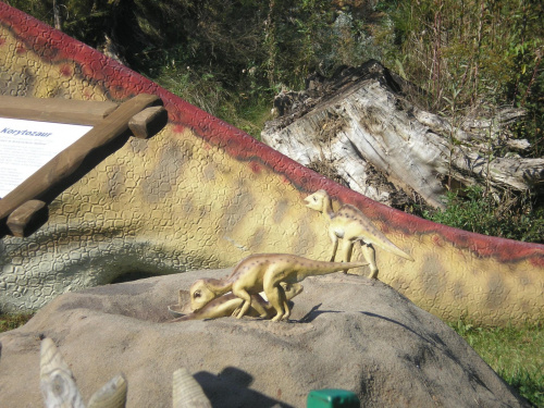wycieczka do Bałtowa - dinozaury #dinozaury #Bałtów #wycieczka