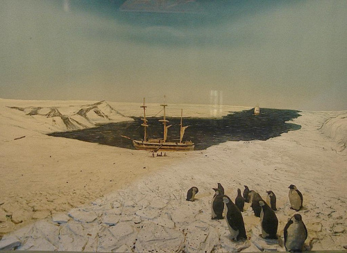 Pingwinki:) #zima #pingwiny #statek #zwierzątka #śnieg