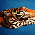 #tygrys #ręka #malarstwo