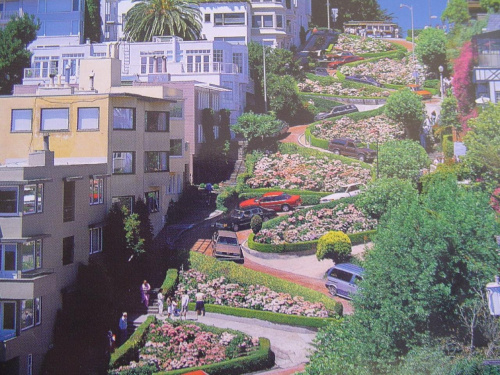 Najbardziej kręta ulica świata w San Francisco 2000.Crocedest street San Francisco