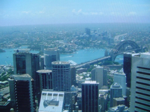 Widok z Sydney Tower na metrpoplię (na planie wieszak ) zdjęcie z filmu wideo:Sydney Tower panoramic view