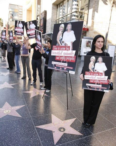 PETAs protest against Mary-Kate and Ashley