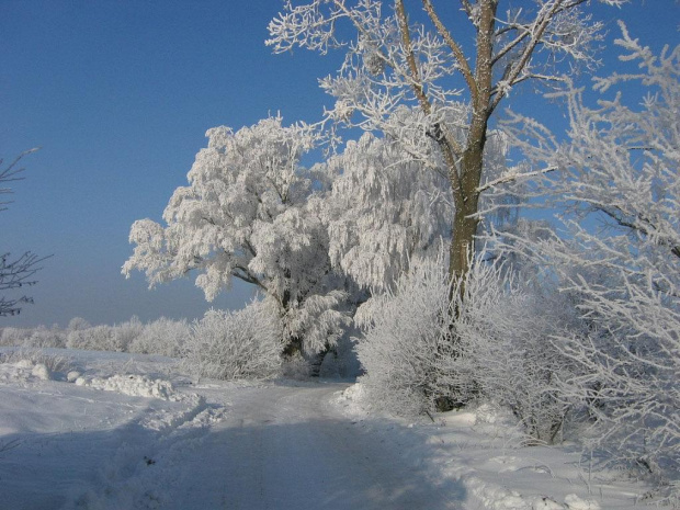 Nasza zima...mazurska