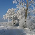 Nasza zima...mazurska