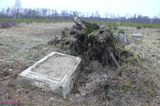 Cmentarz wiejski w wiosce Wilki #CmentarzWWilkach #MazurskieCmentarze #OcalićOdZapomnienia #Mazury