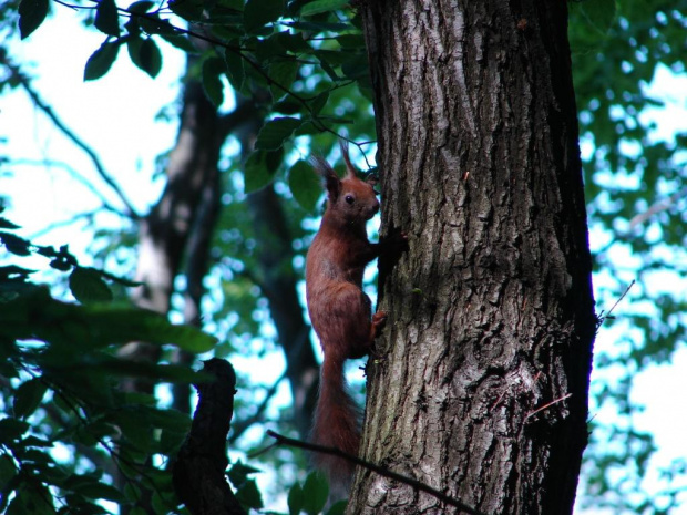 Wiosna #widoki #wiosna #natura