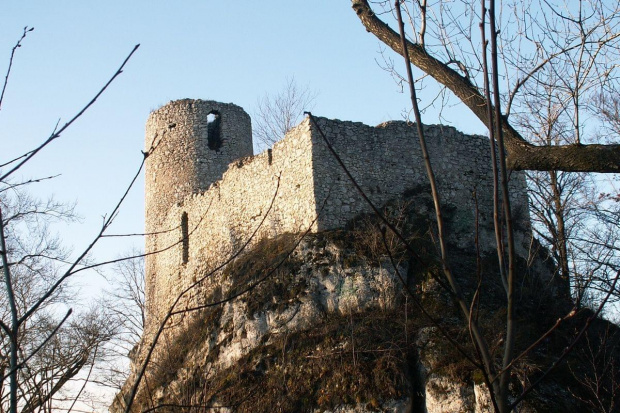 Zamek w Smoleniu