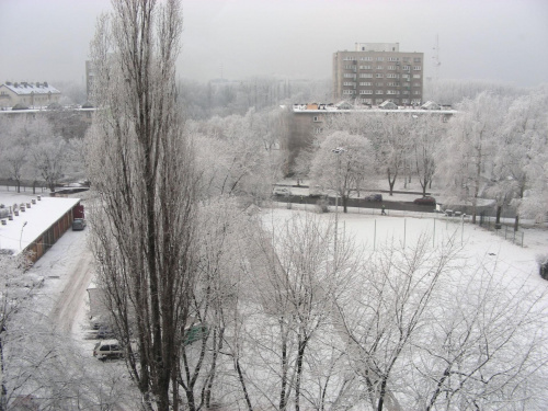 Zima w mieście #biało #BiałoWMieście #BiałyŚnieg #BiałyŚniegWMieście #drzewa #OśnieżonaWarszawa #OśnieżoneMiasto #PadaŚnieg #podwórko #śnieg #ŚniegWMieście #śnieżek #ŚnieżnaWarszawa #śnieżno #ŚnieżnoWMieście #Warszawa #zima