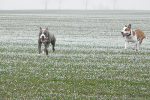 Lucky 22 Grudzień 2007