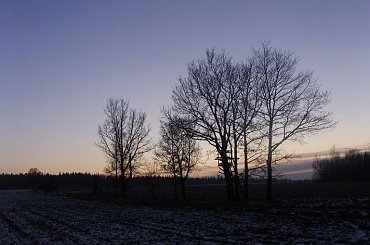 #drzewa #ZachódSlońca #PolnaDroga #łąka #las