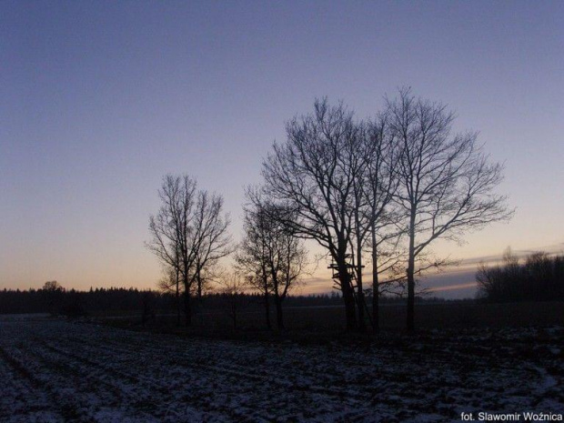 #drzewa #ZachódSlońca #PolnaDroga #łąka #las