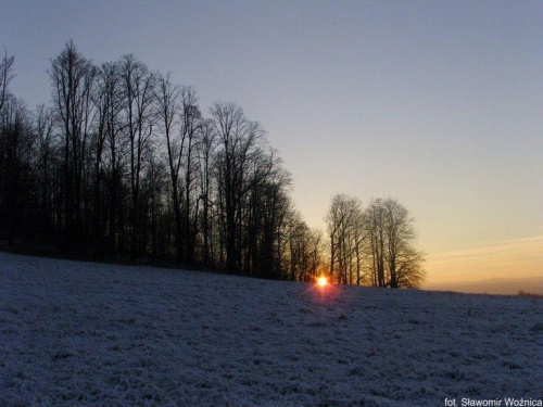 #las #pole #łąka #drzewa #śnieg #ZachódSłońca #niebo