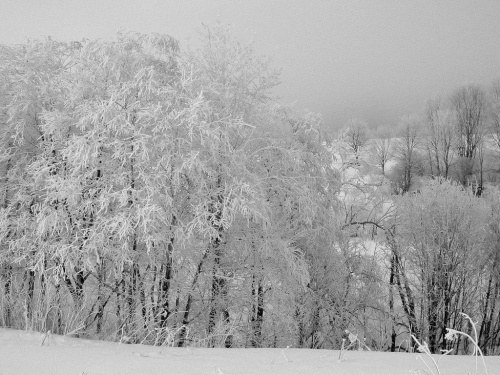 Zdjęcia Bieszczad zimą. Grudzień 2007 #GóryZimaŚnieg