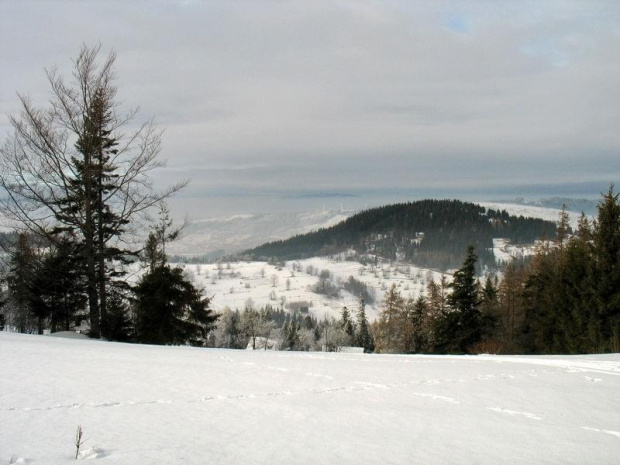 Skalanka i Beskid Śląsko-Morawski z Oźnej #góry #BeskidŻywiecki