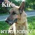 Kiro baner2